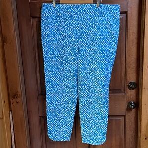 Soft Surroundings Blue and White Pants Size 2X